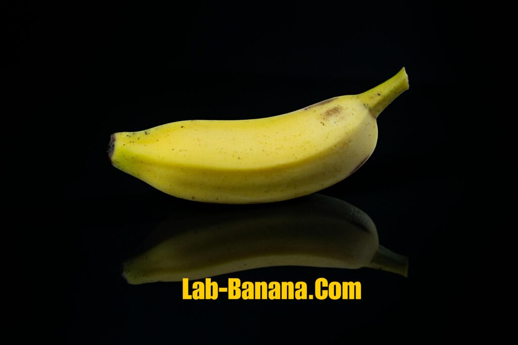 Lab-Banana.com